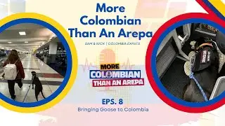 Moving to Colombia with a Dog 🐶✈️ | Flying from the USA to Colombia Pet Tips | S1E8