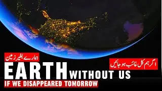 The End of Us |If Humans Vanish-Earth Without Humans