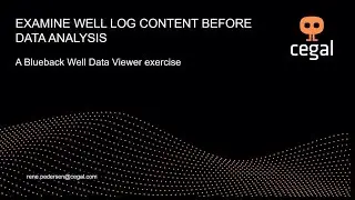 Blueback Well Data Viewer | Examine well log content before data analysis