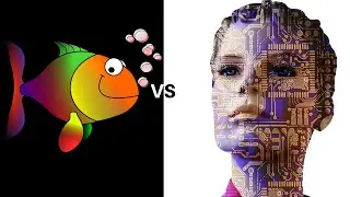 Cunning Foxy King reveals remarkably resourceful way in || Stockfish vs Rapidly Evolving Leela 61185