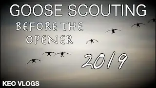Scouting Geese For Opening Day 2019