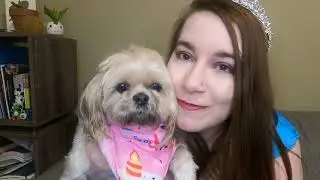Throwing My Dog A Birthday Party.
