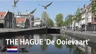 HOLLAND: The Hague - canal tour 'De Ooievaart'