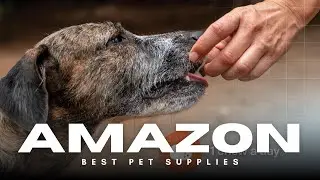 Virbac URSOLYX Soft Chews 💪🐶 | Support Senior & Active Dog Muscles!