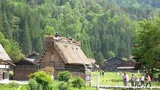 Wada House, Biggest in Shirakawa-go