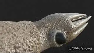 Seashine- новости про обновления