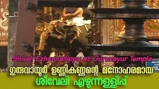 ഗുരുവായൂർ ക്ഷേത്രത്തിലെ ശീവേലിയും പ്രഭാത കാഴ്ച്ചകളും | 24/01/2026 | Guruvayur Temple Morning Shiveli