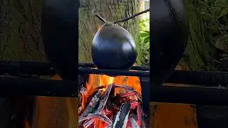 Black Coconut - The Secret to Unleashing Its Full Potential
