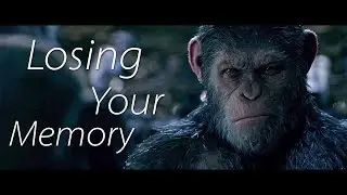Caesar - Losing Your Memory