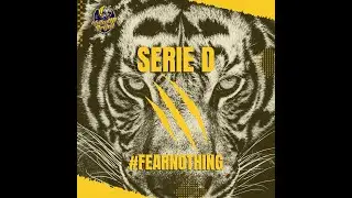 SERIE D 🔘 Test Match | UPV 🆚 CASTELFRANCO