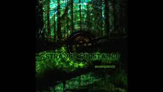 Strange Substance - Swamplands | Chill Space