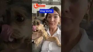 English Verbs Through Dog Actions | English with Korrah at Languistic.ca
