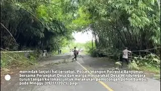Polsek Wangon Banyumas Evakuasi Pohon Bambu yang Mengganggu Arus Lalu Lintas