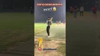 Top 6 Clean Bowled 😱 #cricket #cricketshorts #cricketlover #cleanbowled