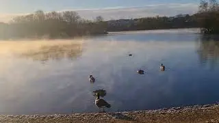 Magical Mist Rising: Witness the Breathtaking Steam Fog at Manvers Lake! 🌫️❄️