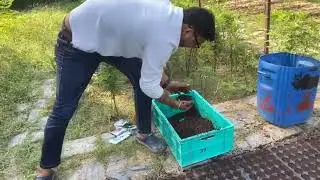 Part.. 1- 2nd lot vegetable nursary sowing kari seedlings tray. Mai.#agriculture #vlog #farming 