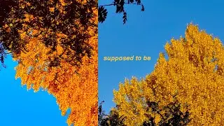 hateful & MOONSIGHT - supposed to be