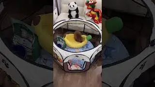 Folding Pet Playpen &ndash; The Ultimate Pet House for Indoors & Outdoors #petplaypen #portablepettent