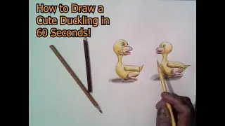 How to Draw a Cute Duckling in 60 Seconds!