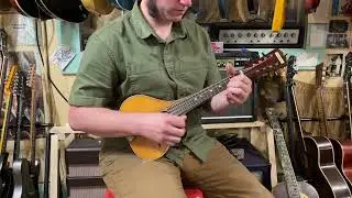 1910s Calvert Parker &ldquo;bandola&rdquo; flatback mandolin