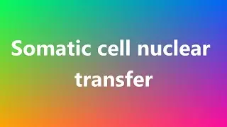 Somatic cell nuclear transfer - Medical Definition and Pronunciation