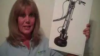 South Daytona Carpet Cleaning South Daytona, FL, Steam, Upholstery, Tile, Grout- Florida 32119