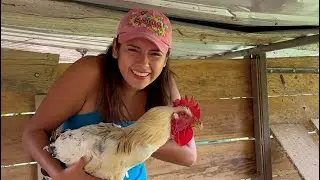 As&iacute; hago seco de gallo criollo aqu&iacute; en el Campo ~ Saida ZC ~ 💚