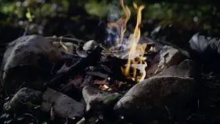 Color Grading Davinci Resolve 15