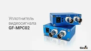 Уплотнитель видеосигнала по коаксиальному кабелю на 2 линии GF-MPC02