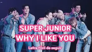 Super Junior - Why I Like You (Letra F&aacute;cil De Seguir)