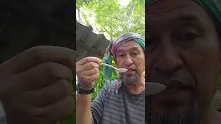 Pucok kemangin dengan pocok chilli sembuh penyaket sejok dada dan sakit tekak