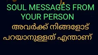 Soul messages from your person അവർക്ക് നിങ്ങളോട് പറയാനുള്ളത് അറിയാം #love #tarot #malayalam 