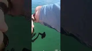 Catching mackerel at the jetty.