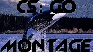 Killer Whale - CS: GO Montage