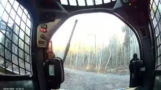 Dude Crew ( FOREST DEMOLITION)