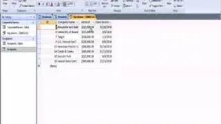 Access 2007 Queries and Reports