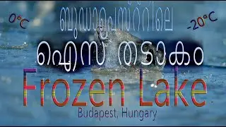 Frozen Lake - Budapest Hungary