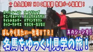 【保存版・年末総集編】名馬たちを牧場でぼーんやり眺める動画（ユーバーレーベン、タイトルホルダー、ゴールドシップなど）