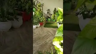 Home entrance decoration ideas🪴🌱👨&zwj;🌾 #asmr #home#entrancedecor#plants#gardening#shorts#youtubeshorts