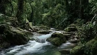 Continuous River Flow Sounds for Sleep Creating a Stable Calm Environment