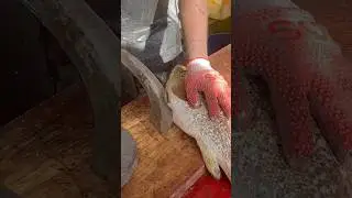 Amazing! Mastering Big Fish Cutting Skills 🐟🔪 | Expert Techniques! #fishcutting #shorts #short