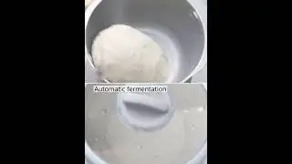 The Best Dough Mixer Machine Dough Maker A50B1
