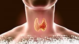 Thyroid Problems Explained: Hypothyroidism vs Hyperthyroidism | Symptoms & Treatment