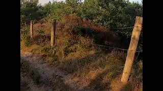 boomwortel route bregtdorp catrijp groet 1440/60p