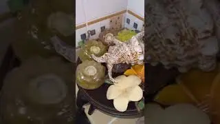 Asian house tour | #asiancomedy