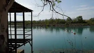 NATURE SOUNDS| Afternoon at the deck [40 minutes]