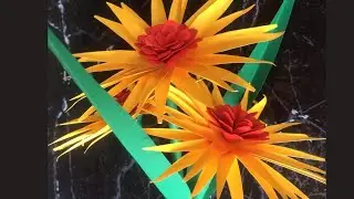 beautiful flower making, diy, home decoration, flower crafting, paper craft CraftyCarry