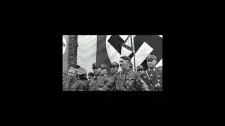 Brief story about the Nazi Party in Germany,in the early 1900s