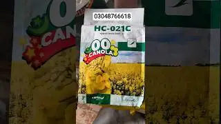 #canola #farming #agriculture #organicfarming #khetibari #oilseed #growcanola #sarson