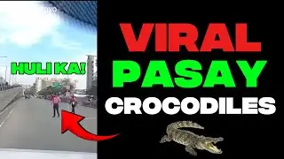 VIRAL PASAY CROCODILES | BABALA SA MGA DADAAN NG PASAY